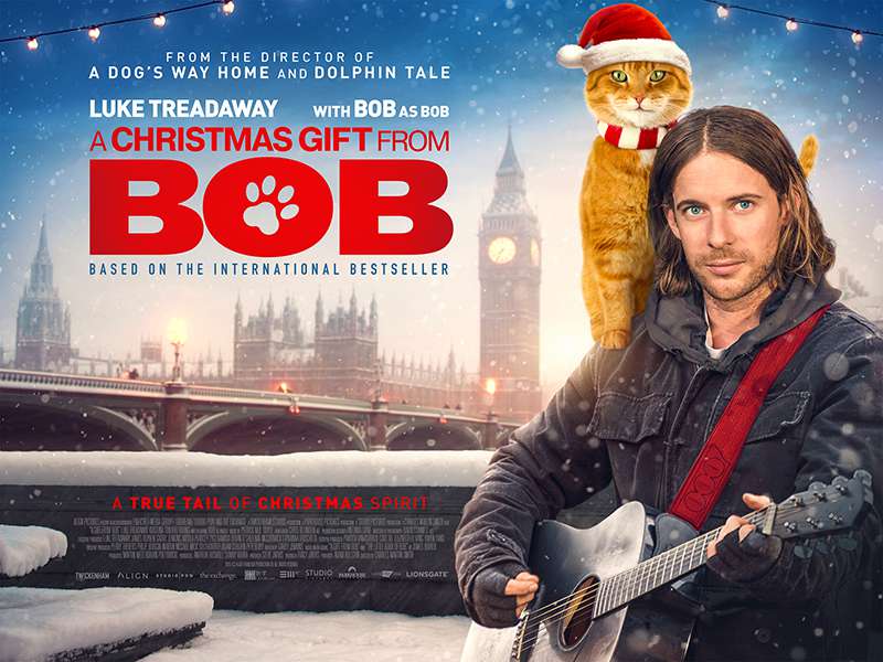 [电影][鲍勃的圣诞礼物.A Christmas Gift From Bob][2020][英语音轨.中英双语字幕]720P+1080P百度云下载